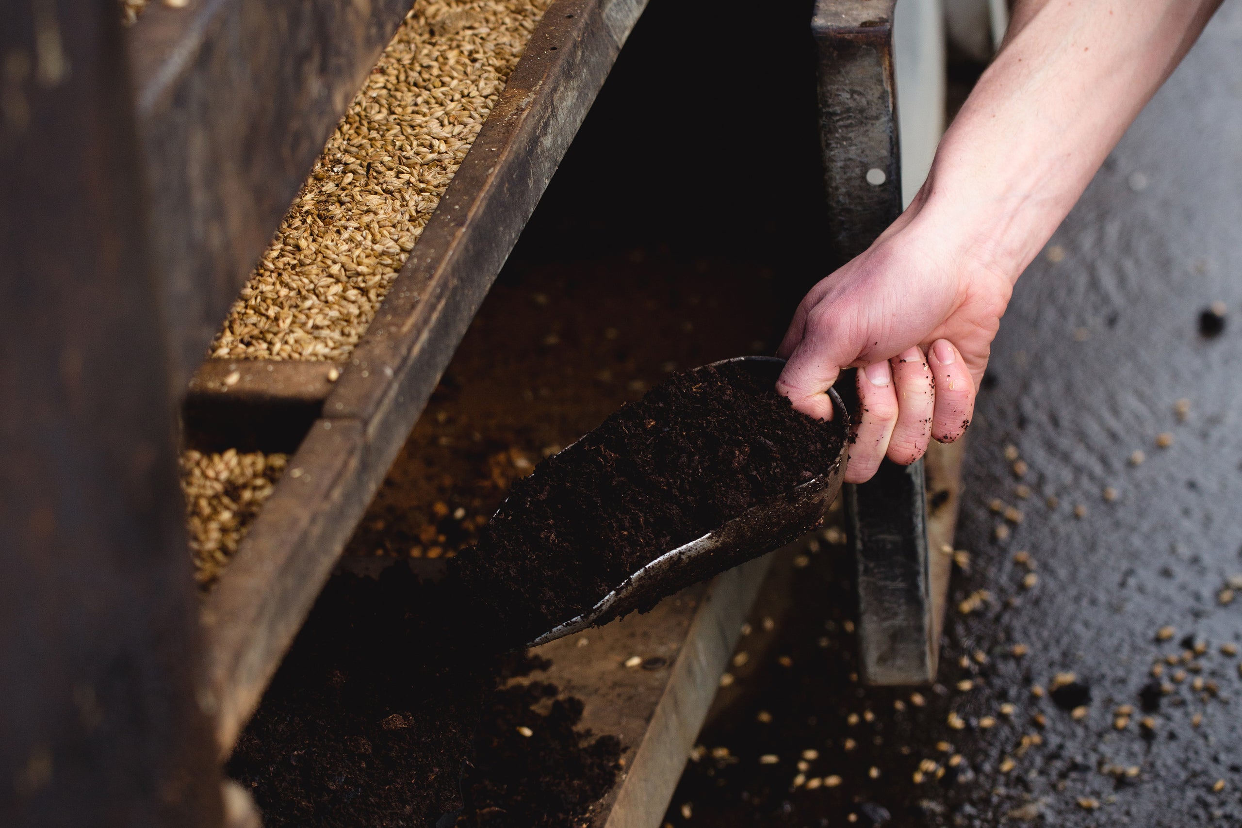 What is Whisky Made From?