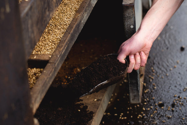 What is Whisky Made From?