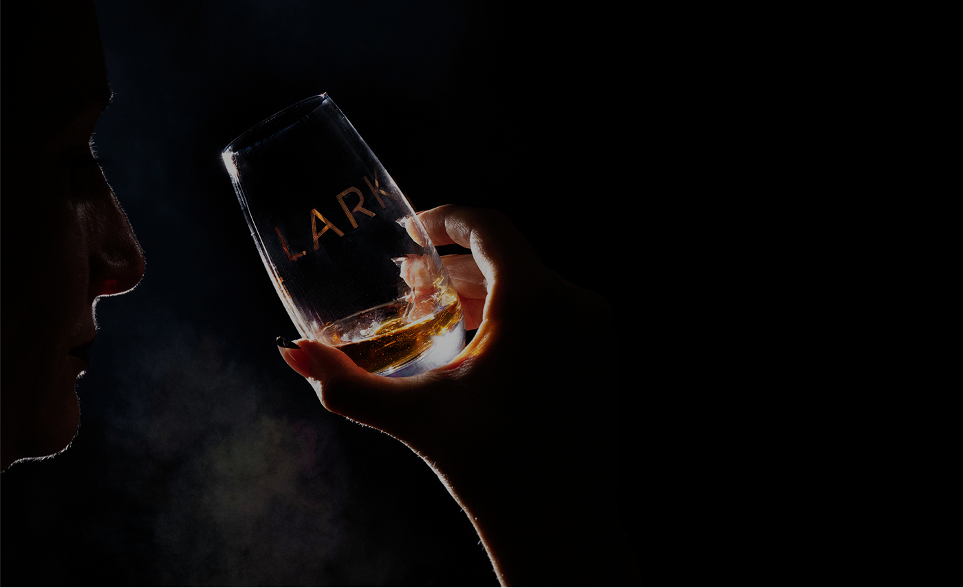 Your Guide to all things LARK this Dark Mofo season