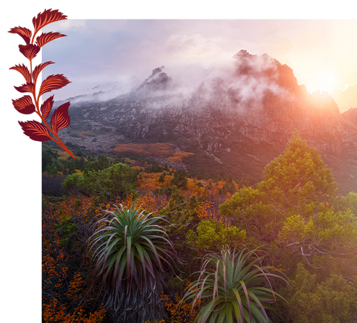 Wild Tasmania - The Final Wilderness Release