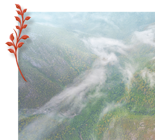 LARK Classic Collection Pack