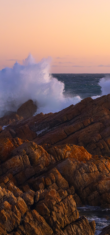 ALWAYS MADE OF TASMANIA