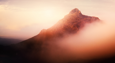 Shaped by Tasmania’s unique climate