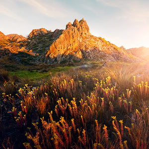 Shaped by our island home