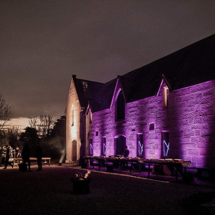 DARK LARK Stargazing