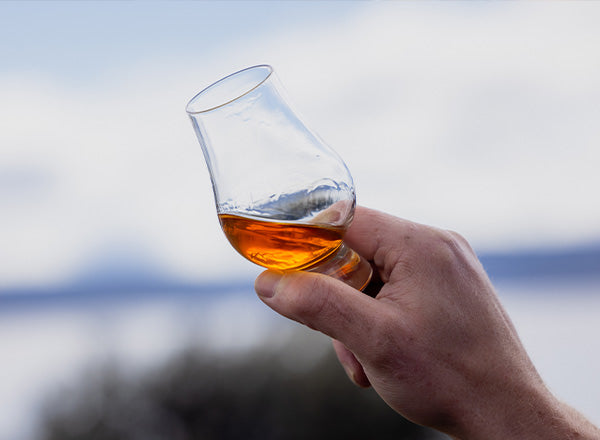 <p><span class="metafield-multi_line_text_field">Release Notes</span></p>